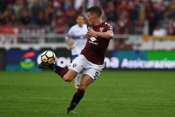 belotti 2